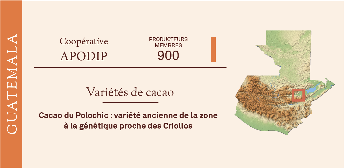 Origine Guatemala La cacaosphère bio équitable