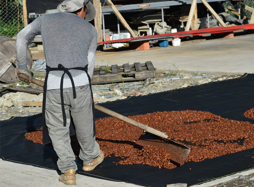 alto urubamba pérou cacao equitable bio ethiquable