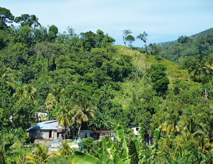 paysage coop madgascar fanohanna magneva