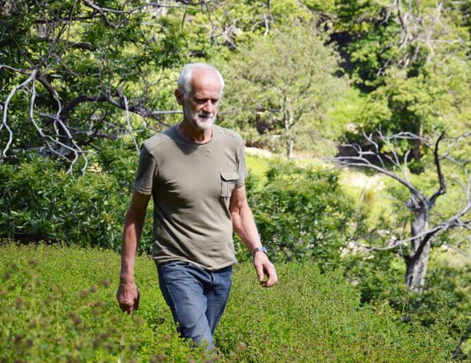 producteur ardèche d'origan coopératives viva plantes bio equitable ethiquable