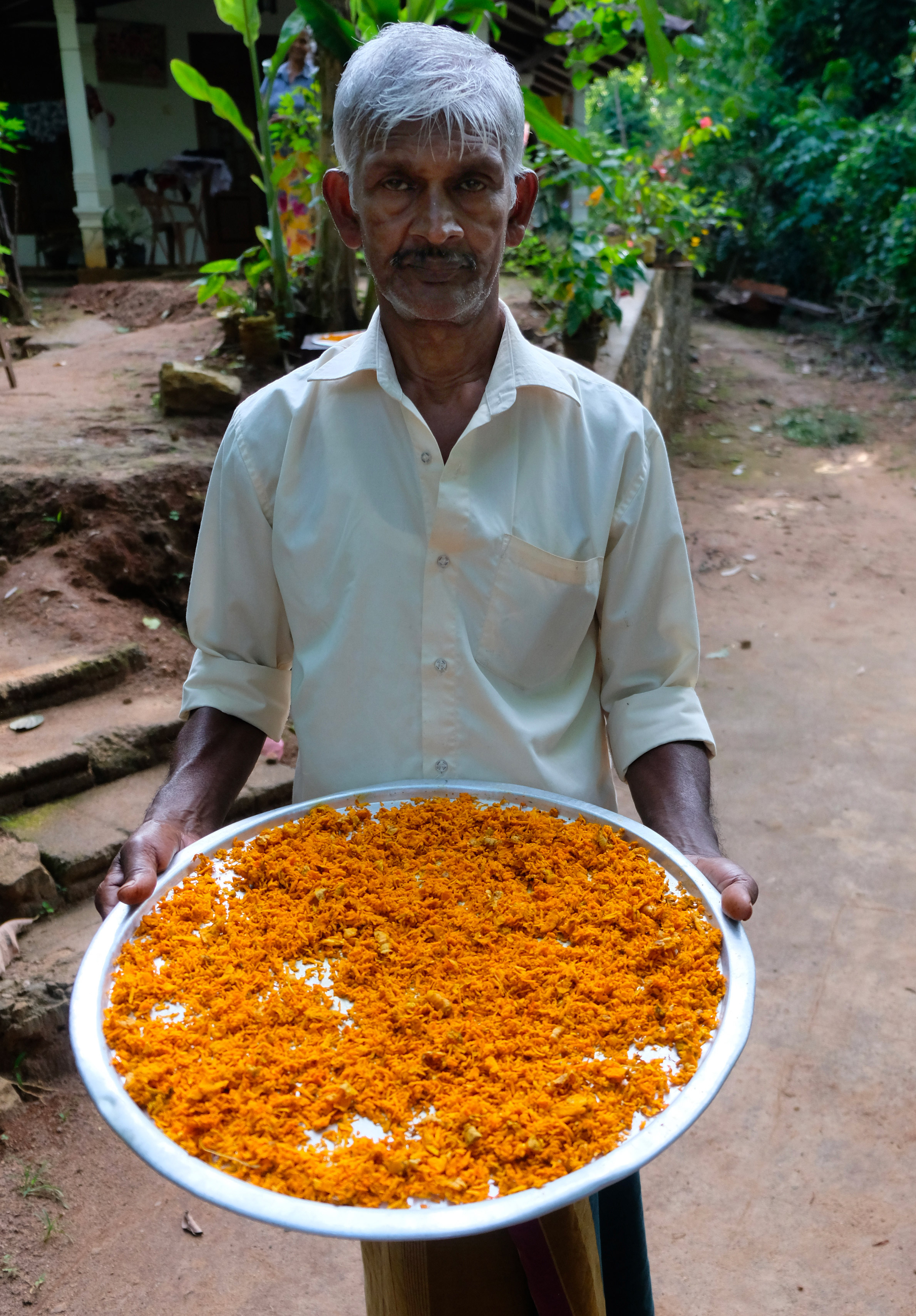 Producteur de curcuma à la coopérative SOFA