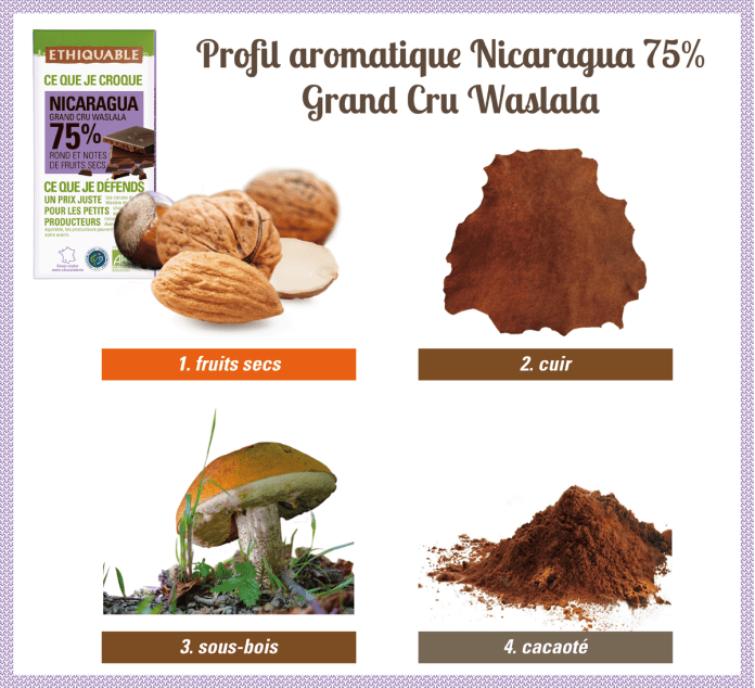 Profil aromatique du Chocolat noir 75% Nicaragua grand cru Waslala