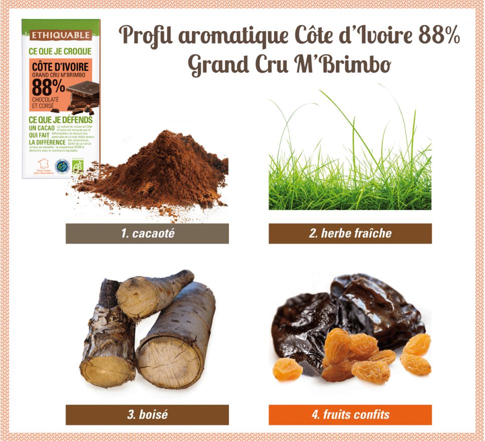 Profil aromatique du Chocolat noir 88% Côte d'Ivoire