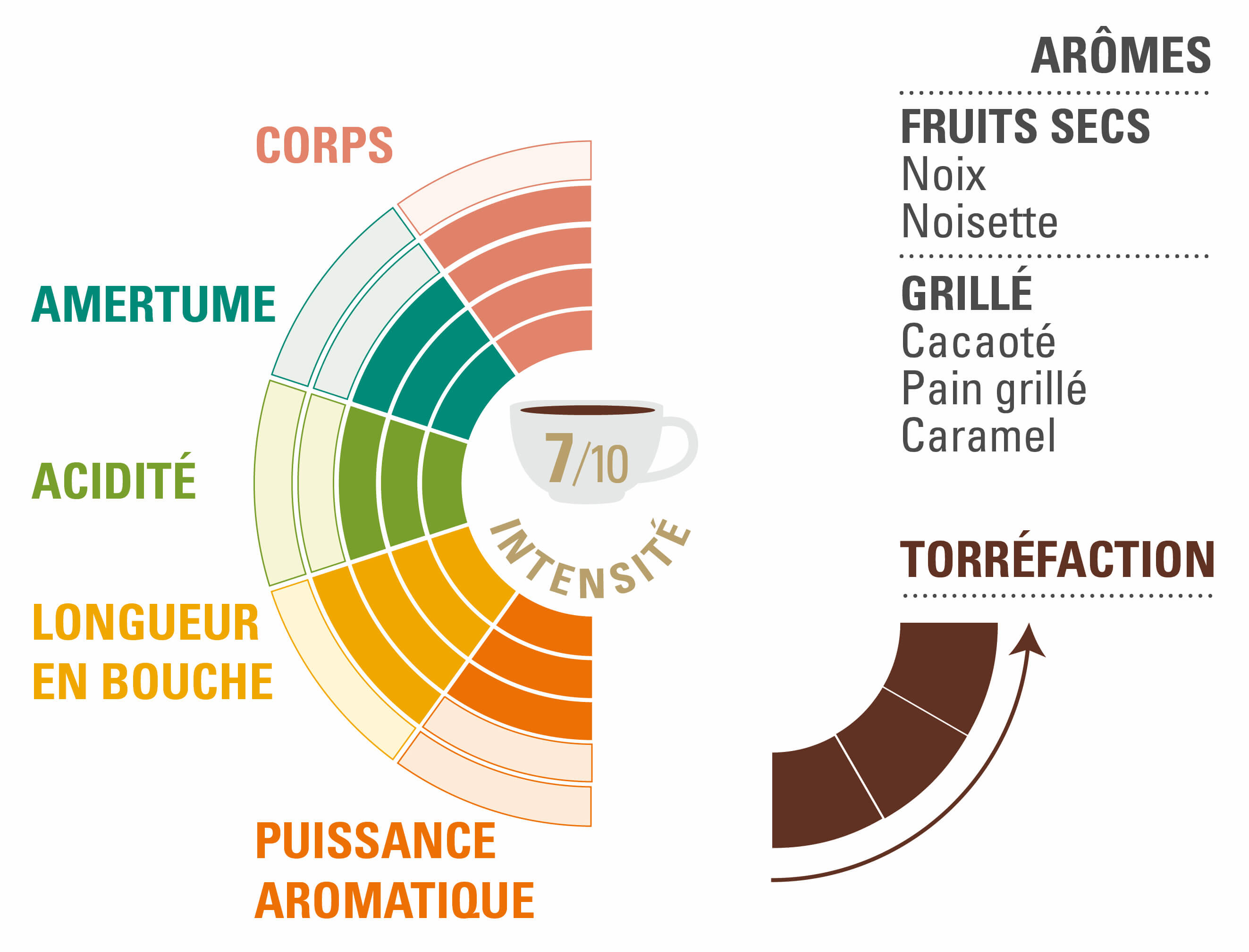 Profil dégustation Café Blend n°7 moulu 250g