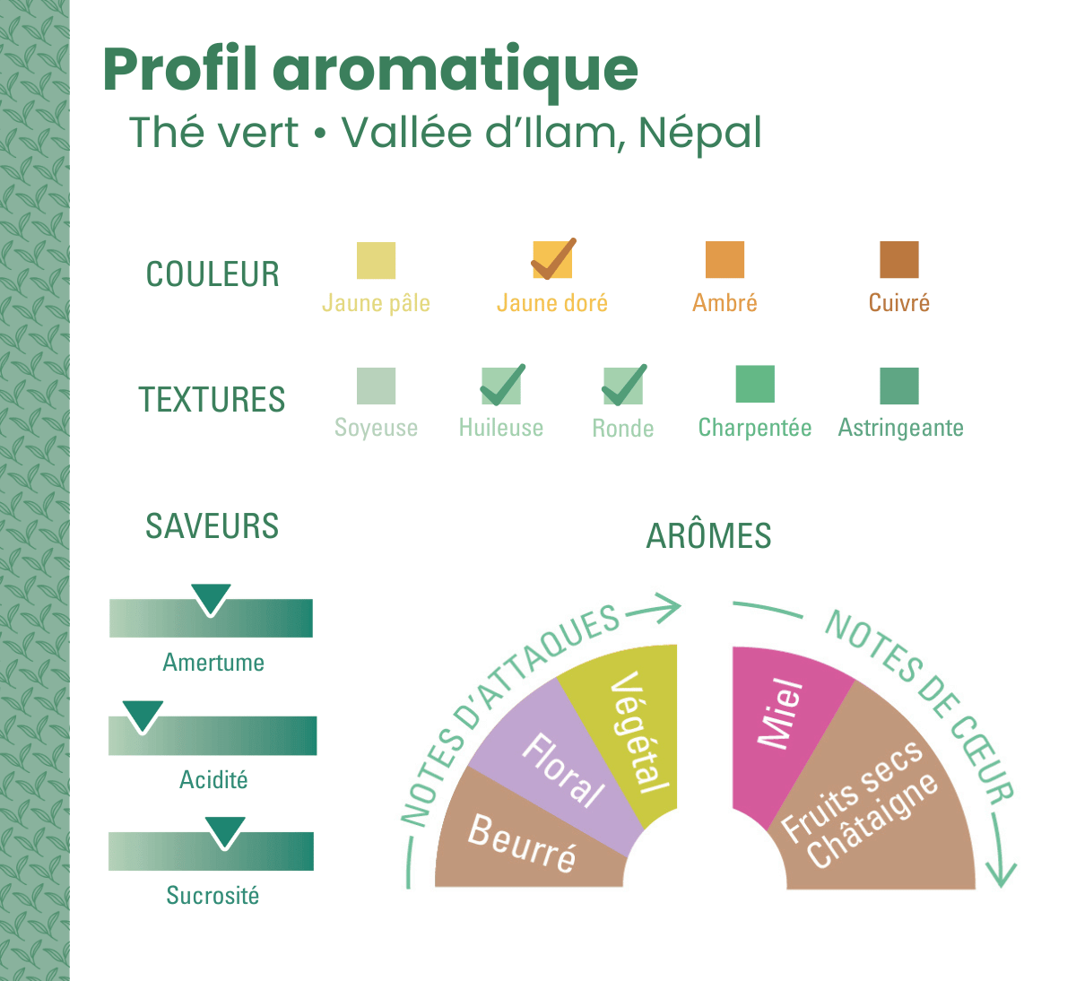 Profil aromatique thé vert Népal