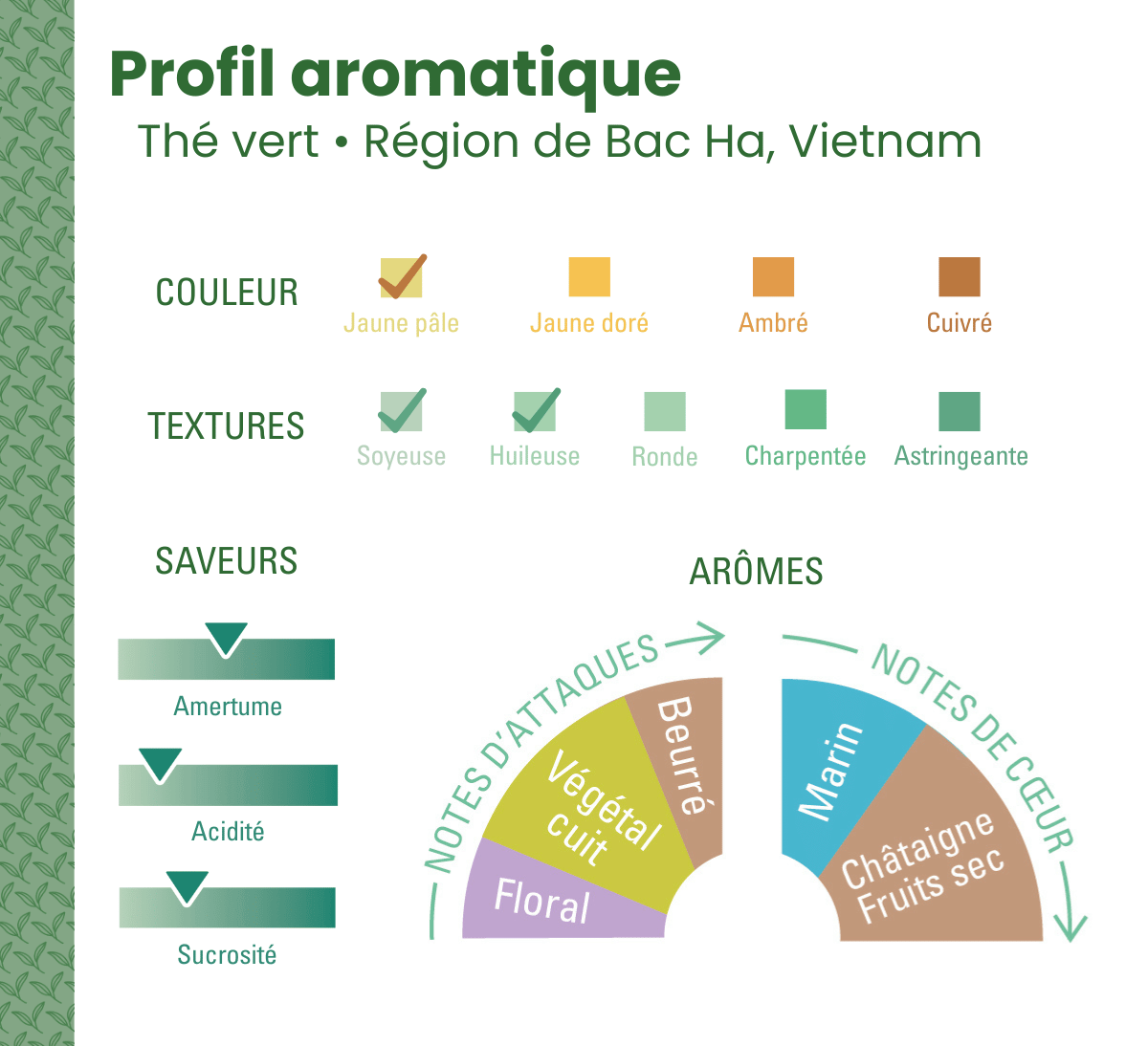 Profil aromatique thé vert Vietnam