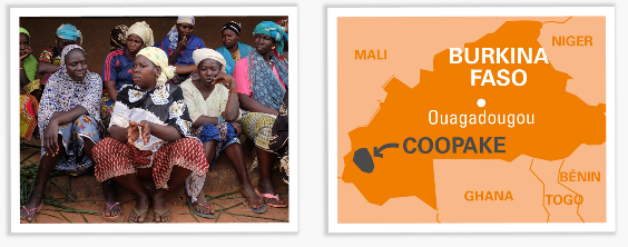 coopake burkina sésame bio équitable