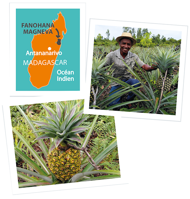 pur jus ananas ethiquable carte Madagascar