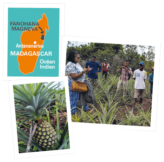 pur jus ananas gingembre ethiquable Madagascar carte