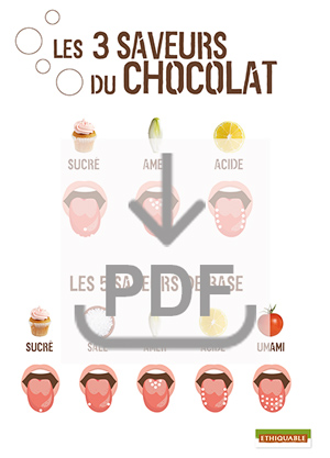 saveurs du chocolats affiche