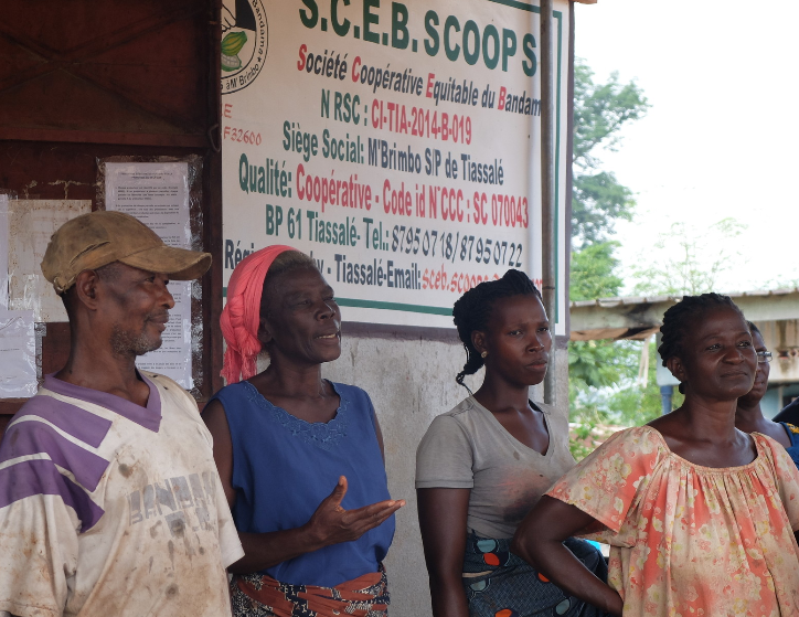 coopérative bio équitable côte d'ivoire cacao