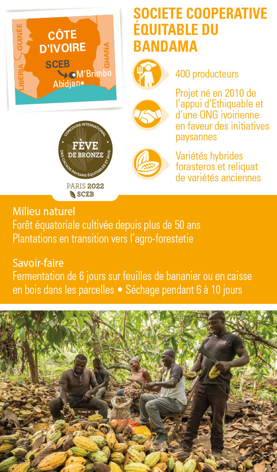 cacao équitable bio Côte d'Ivoire sceb ethiquable