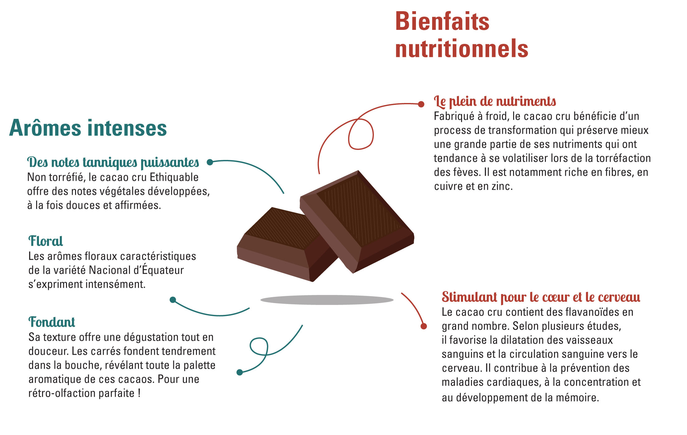 Les bienfaits du cacao cru