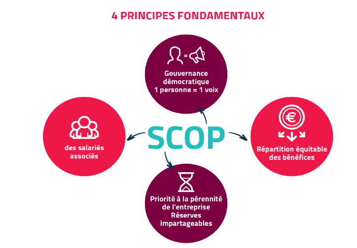 scop principes