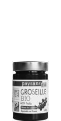 confiture groseille bio equitable france paysandic