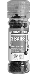 3 baies ethoqiable bio équitable