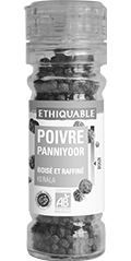 Poivre Panniyoor Kérala - Inde bio équitable ethiquable