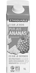 pur jus ananas ethiquable bio équitable