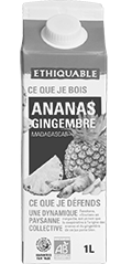 pur jus ananas gingembre ethiquable bio équitable
