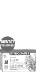 Infusion Thym Massif Central ethiquable équitable bio france 