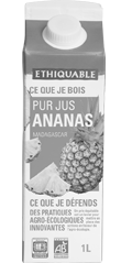 pur jus ananas ethiquable Madagascar équitable bio