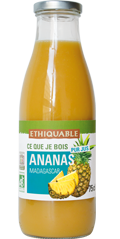 ananas pur jus bio equitable ethiquable
