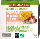 bio-equitable-dessert-de-fruits-mangue-litchi-ethiquable