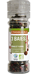 3 baies ethoqiable bio équitable