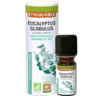 huile essentielle eucalyptus bio equitable ethiquable