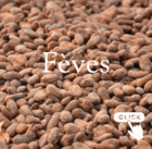 Fèves La Cacaosphère bio équitable