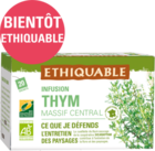 Infusion Thym Massif Central ethiquable équitable bio france 