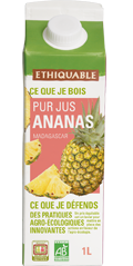 pur jus ananas ethiquable Madagascar équitable bio