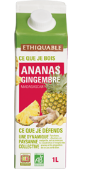 pur jus ananas gingembre ethiquable Madagascar equitable bio