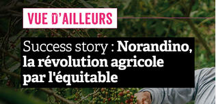 aventure ethiquable norandino grain de sel