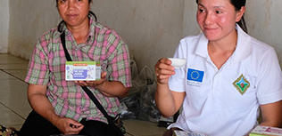 Production thé bio en agroforesterie
