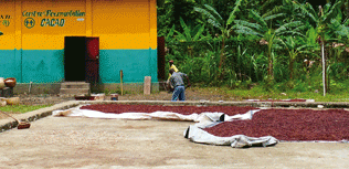 dossier de presse cacao ethiquableæ