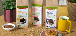 Boissons à base de céréales torréfiées Boissons à base de céréales torréfiées