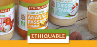 jus equitable bio ethiquable