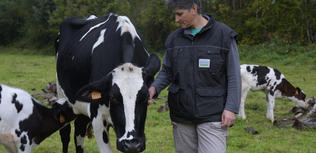 Lait bio quels critères derrière le cahier des charges bio ?