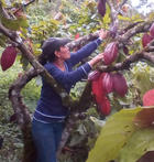 campesina nicaragua ethiquable