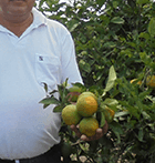 coopéalnor brésil orange Ethiquable bio équitable