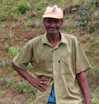 coopérative magnéva ananas