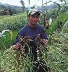 asoprocam equateur ethiquable