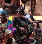 coopake ethiquable burkina hibiscus