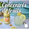 gamme concentrés de fruits ethiquable bio equitable