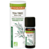 huile-essentielle - tea tree - equitable-bio-ethiquable