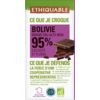Chocolat noir 95% de cacao Bolivie grand cru Alto Beni