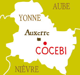 carte cocebi