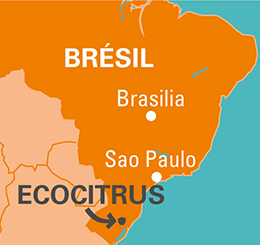 carte ecocitrus