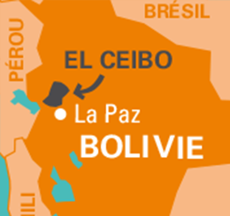 carte el ceibo